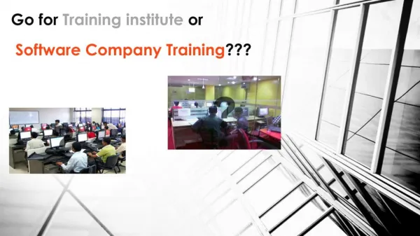 Go for Software training institute or Software company training???