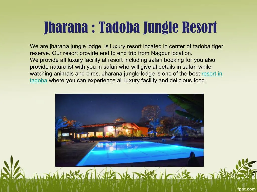 jharana tadoba jungle resort