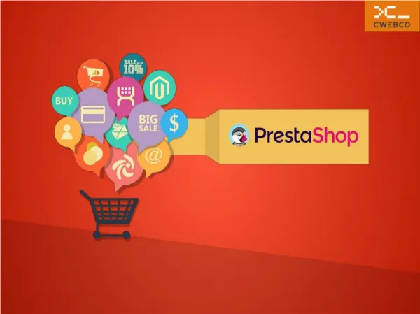 Professional Team of Prestashop Website Development in India