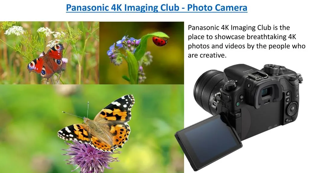 panasonic 4k imaging club photo camera