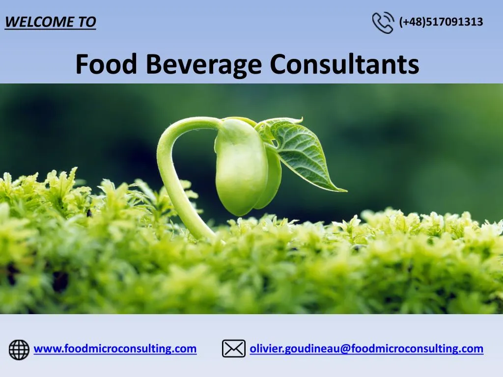 food beverage consultants