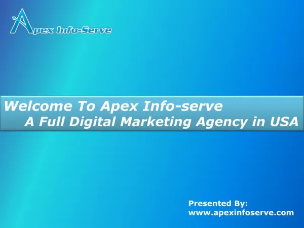 Apex info serve - A full digital marketing agency in USA