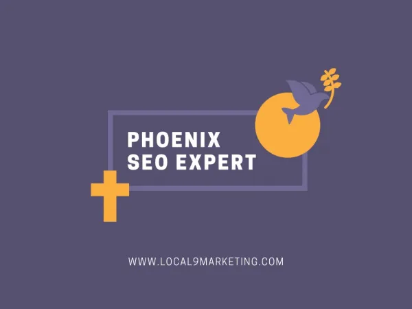 Phoenix SEO Expert - Local9 Marketing