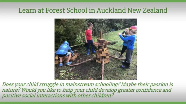 Play Based Learning New Zealand Forest School