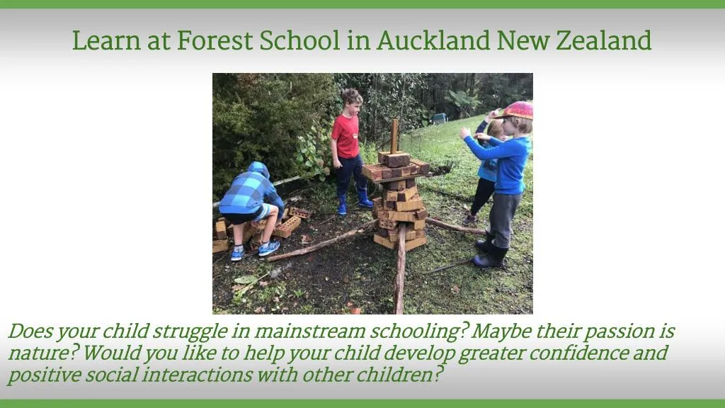 learn at forest school in auckland new zealand