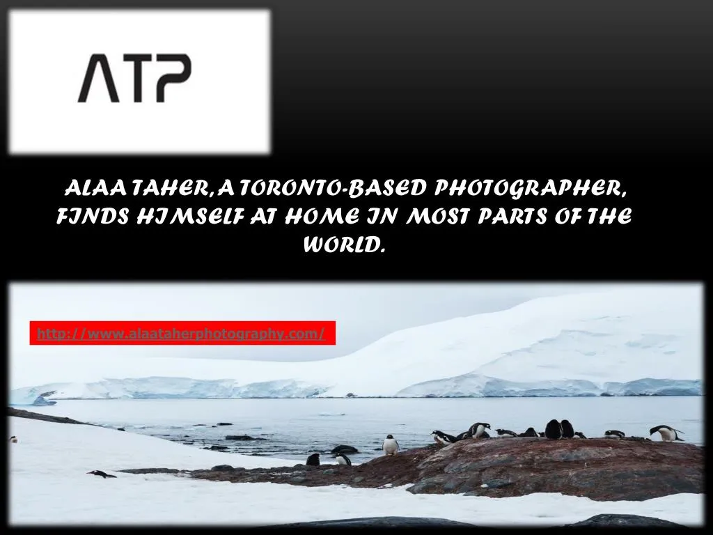 alaa taher a toronto based photographer finds himself at home in most parts of the world