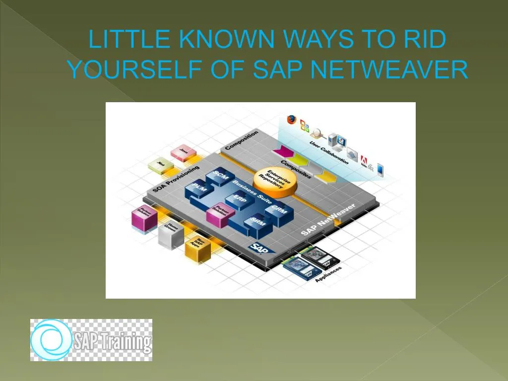 little known ways to rid yourself of sap netweaver
