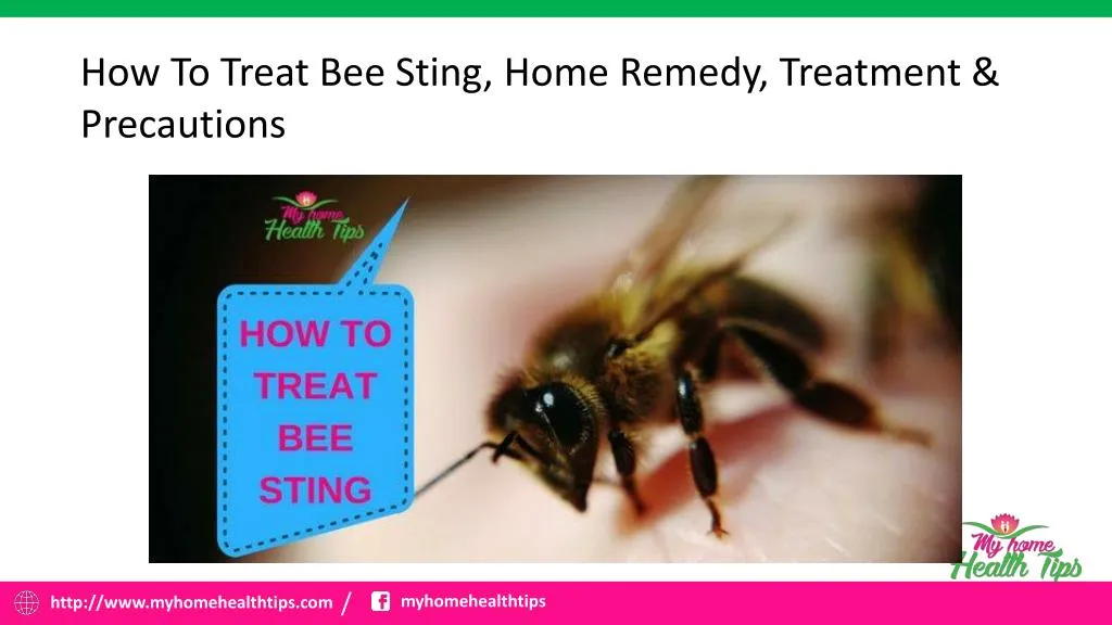 how to treat bee sting home remedy treatment