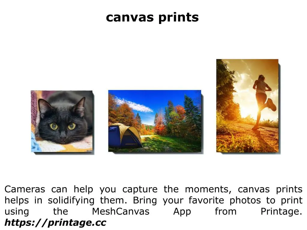 canvas prints