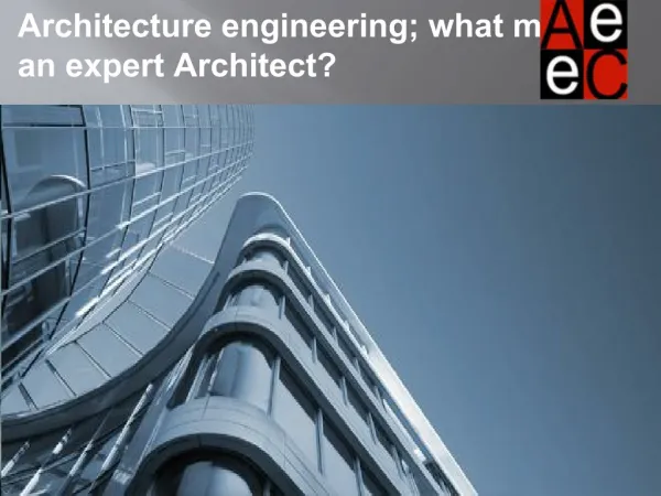 Architecture engineering; what makes an expert Architect?