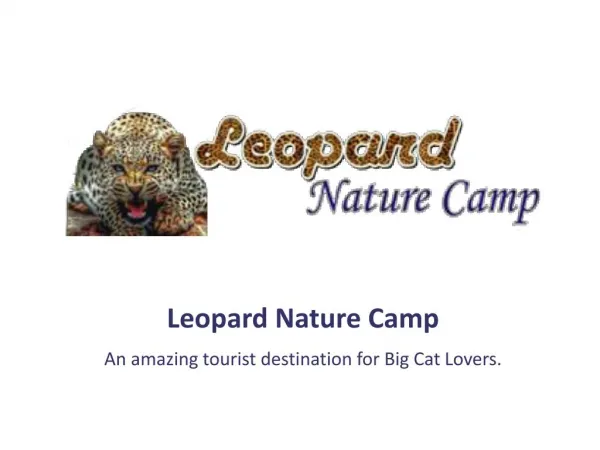 Wildlife Tour in India - Leopard Nature Camp