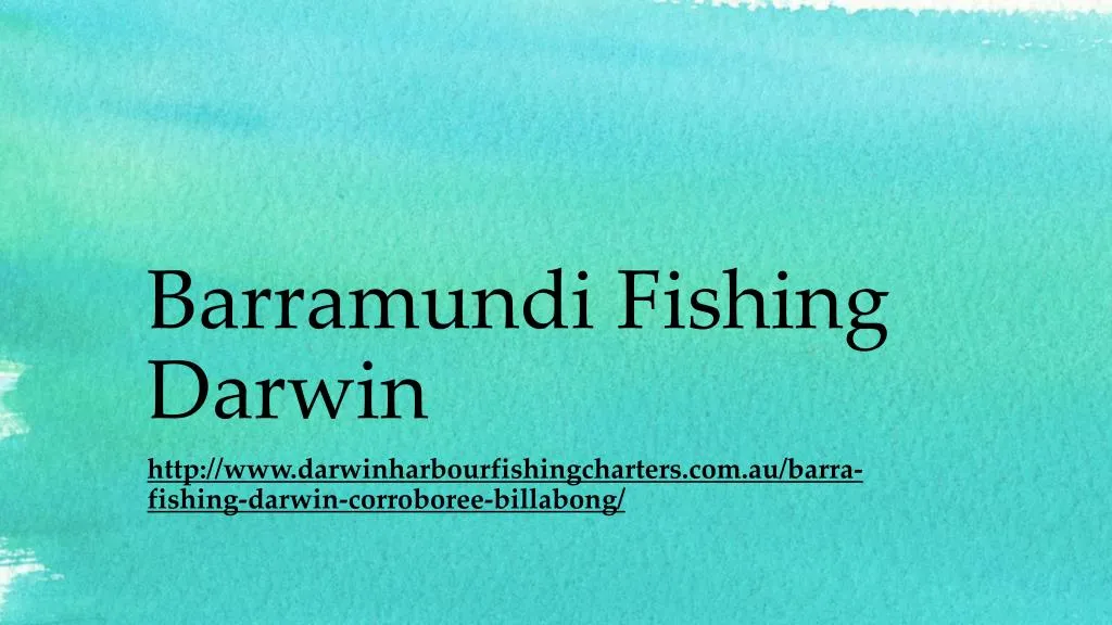 barramundi fishing darwin