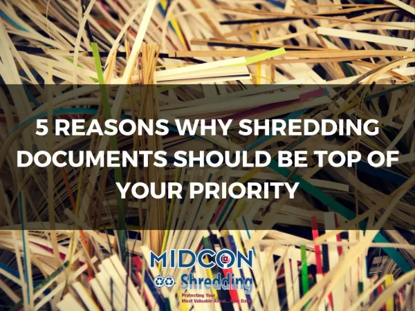 5 reason why shredding document should be top of your priority