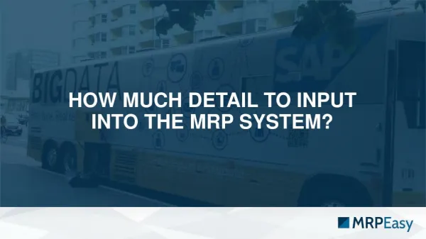 How Much Detail to Input into the MRP System?