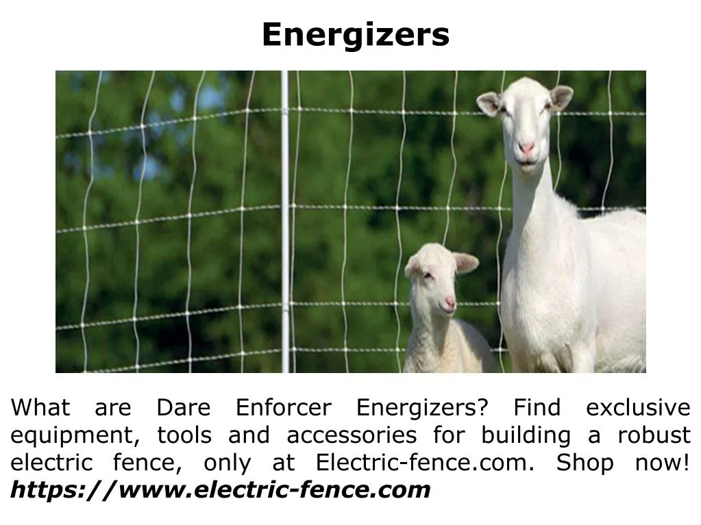 energizers