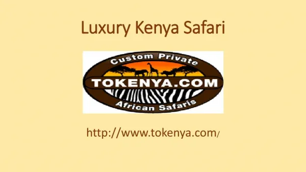 Luxury kenya safari - Tokenya