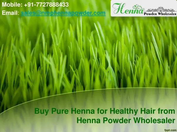 Buy Pure Henna for Healthy Hair from Henna Powder Wholesaler