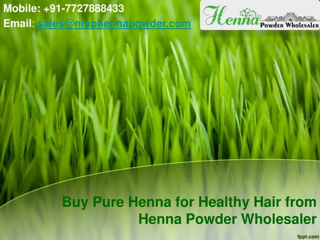 buy pure henna for healthy hair from henna powder wholesaler