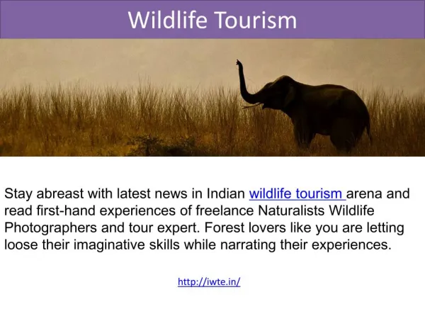 Wildlife Tourism