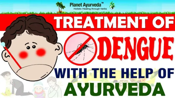 Ayurvedic Medicines & Foods Advice For Dengue Patients