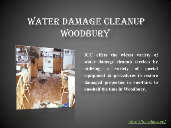 Water Damage Cleanup Woodbury