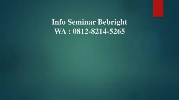 Info Seminar Bebright