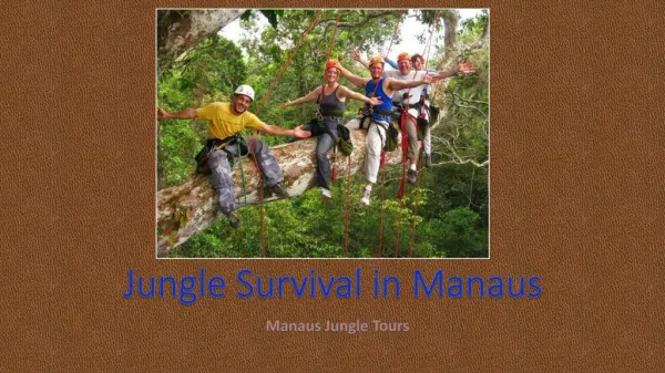 Jungle Survival in Manaus with Manaus Jungle Tours in Brazil