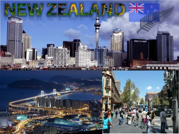 Study abroad in New Zealand | Search My College | Overseas Education