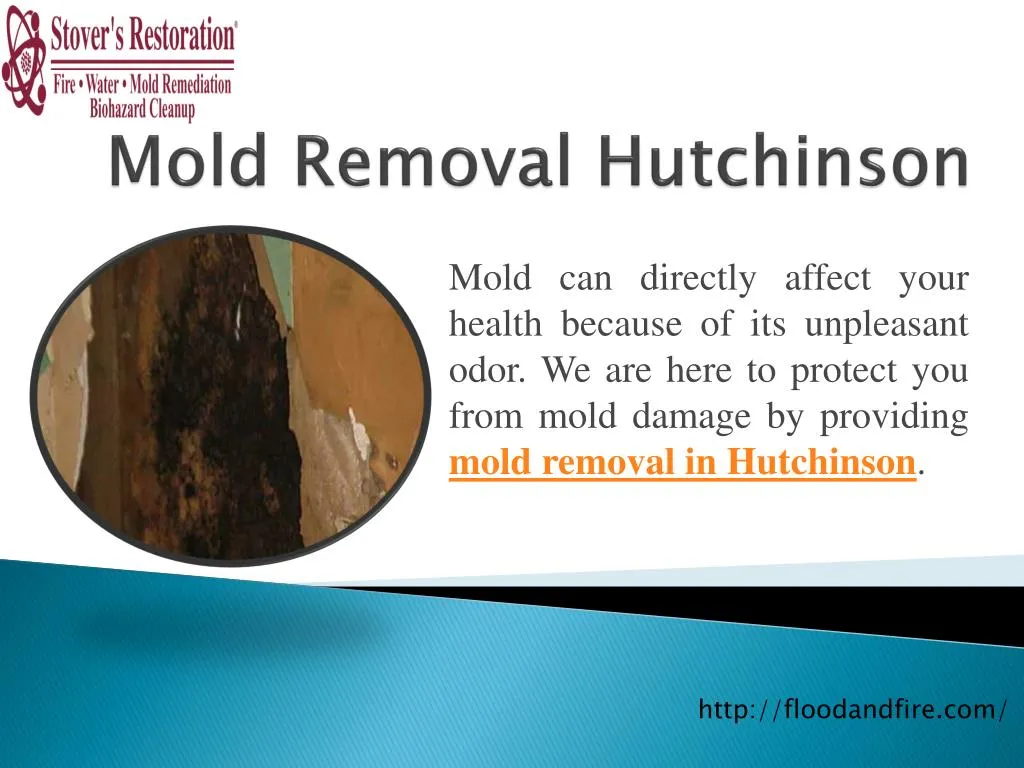 mold removal hutchinson