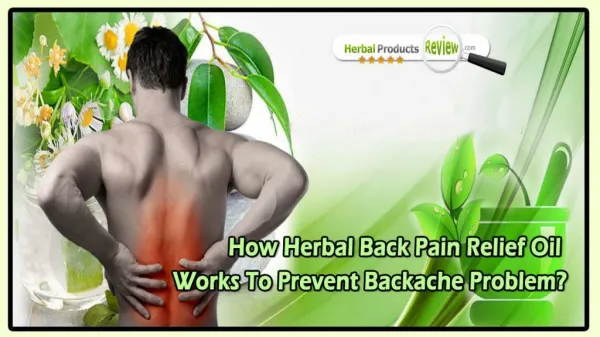 How Herbal Back Pain Relief Oil Works to Prevent Backache Problem?