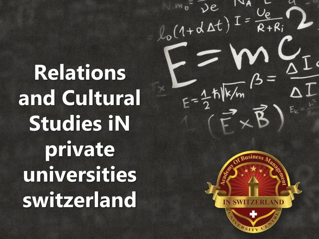 relations and cultural studies in private universities switzerland