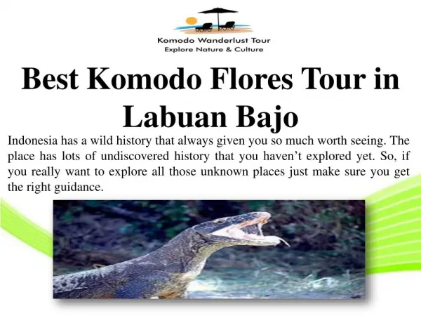 Best Komodo Flores Tour in Labuan Bajo