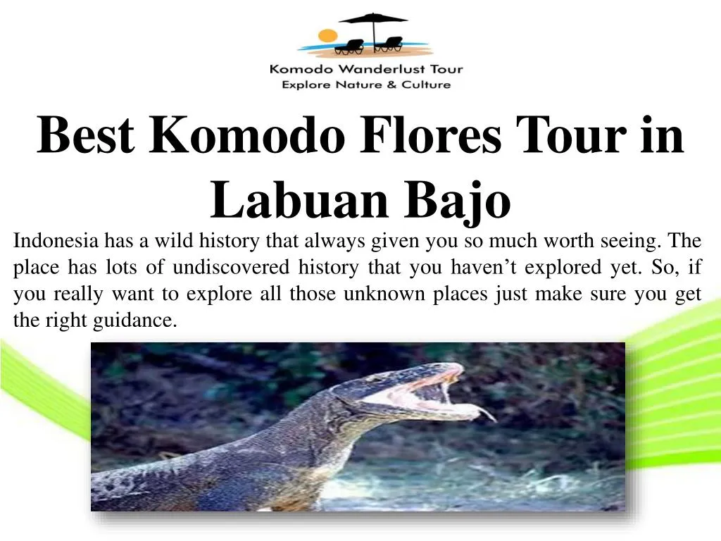 best komodo flores tour in labuan bajo