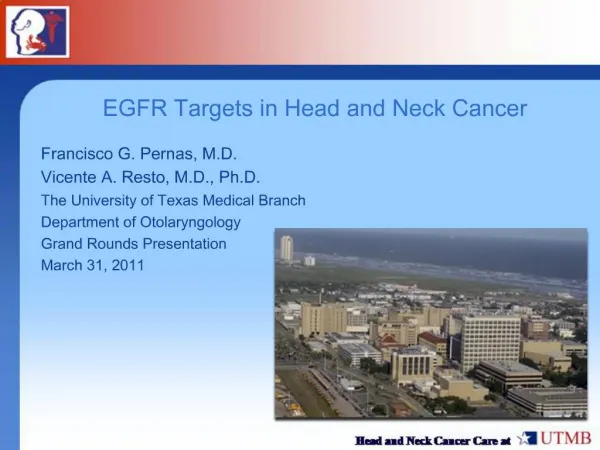 EGFR Targets in Head and Neck Cancer