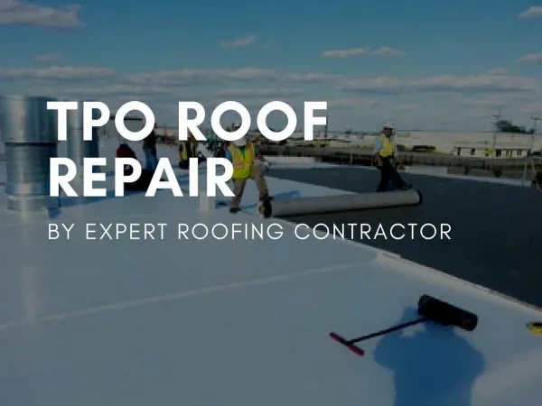 How to Obtain TPO Roof Repair Services?