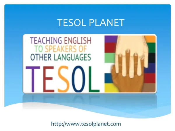 Tesol School