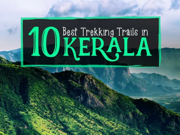 10-Best-Trekking-Trials-in-Kerala