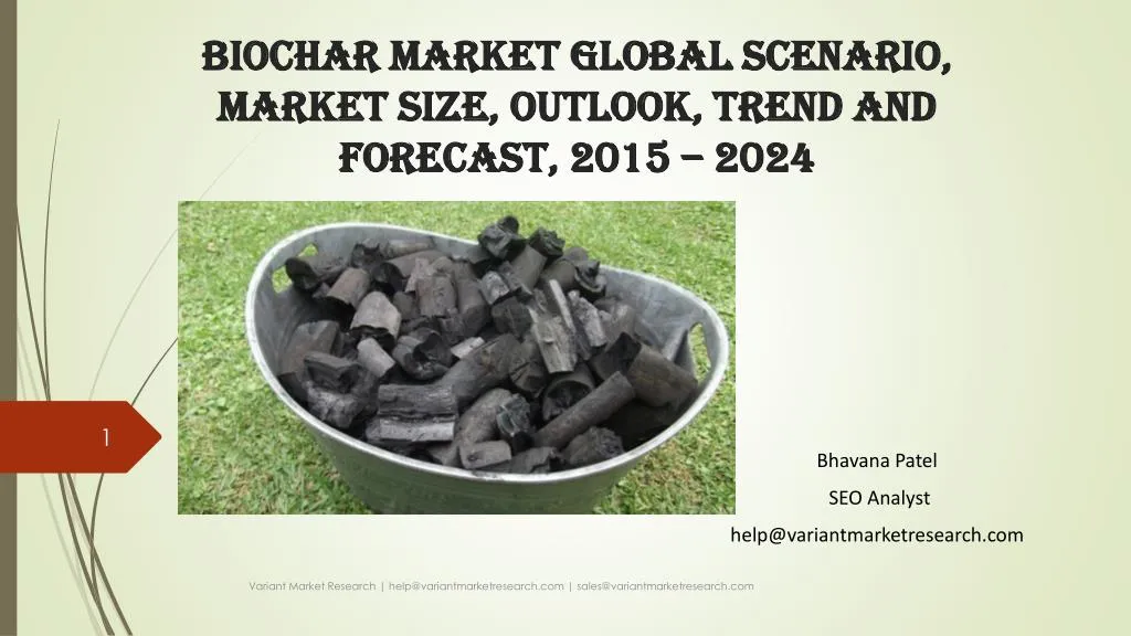 biochar market global scenario market size outlook trend and forecast 2015 2024