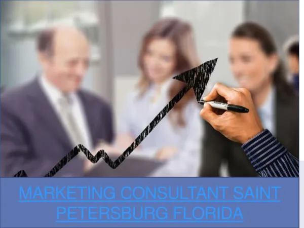 Media Consultant Saint Petersburg Florida