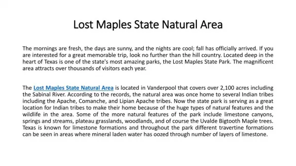 Lost Maples State Natural Area