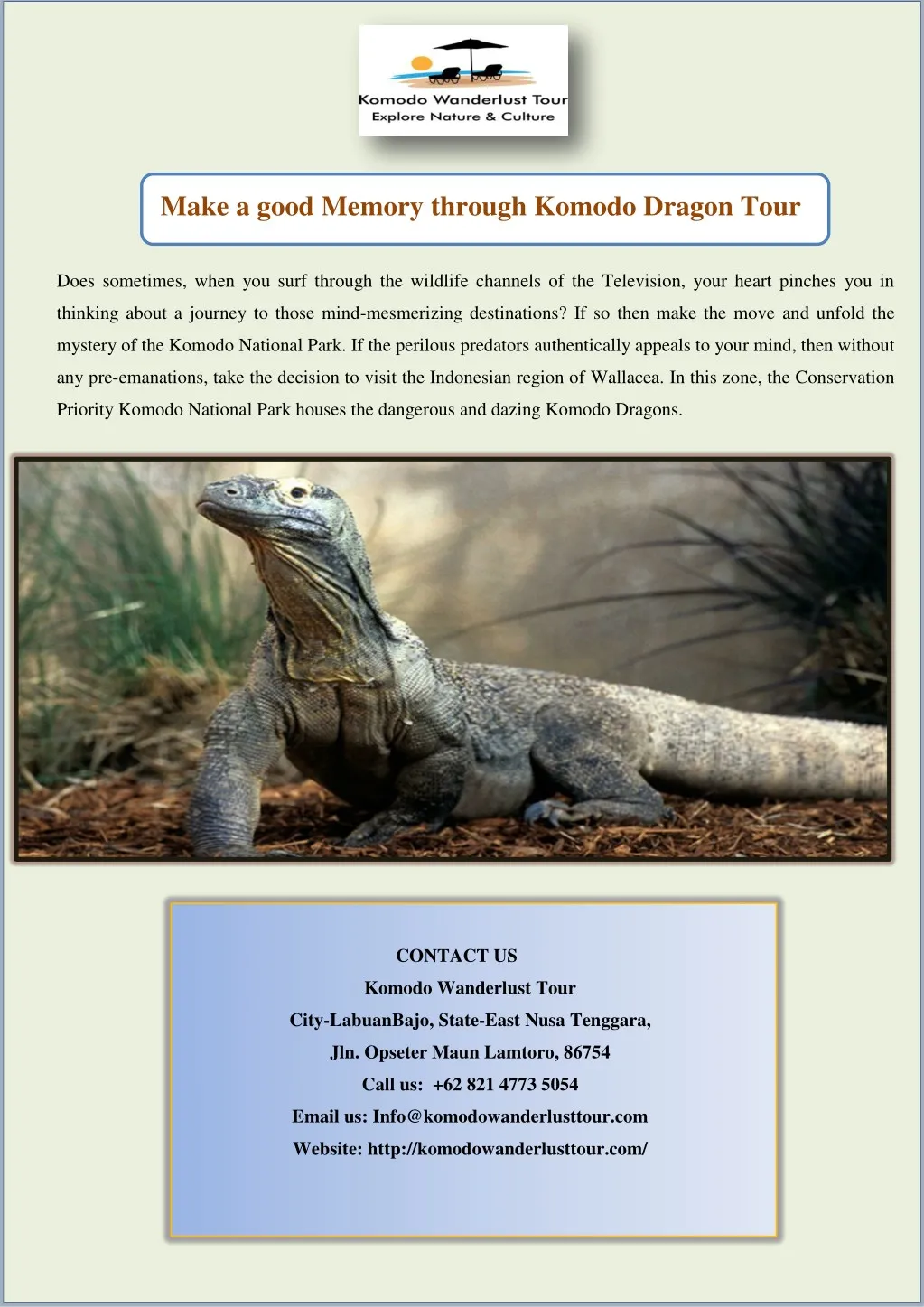 make a good memory through komodo dragon tour