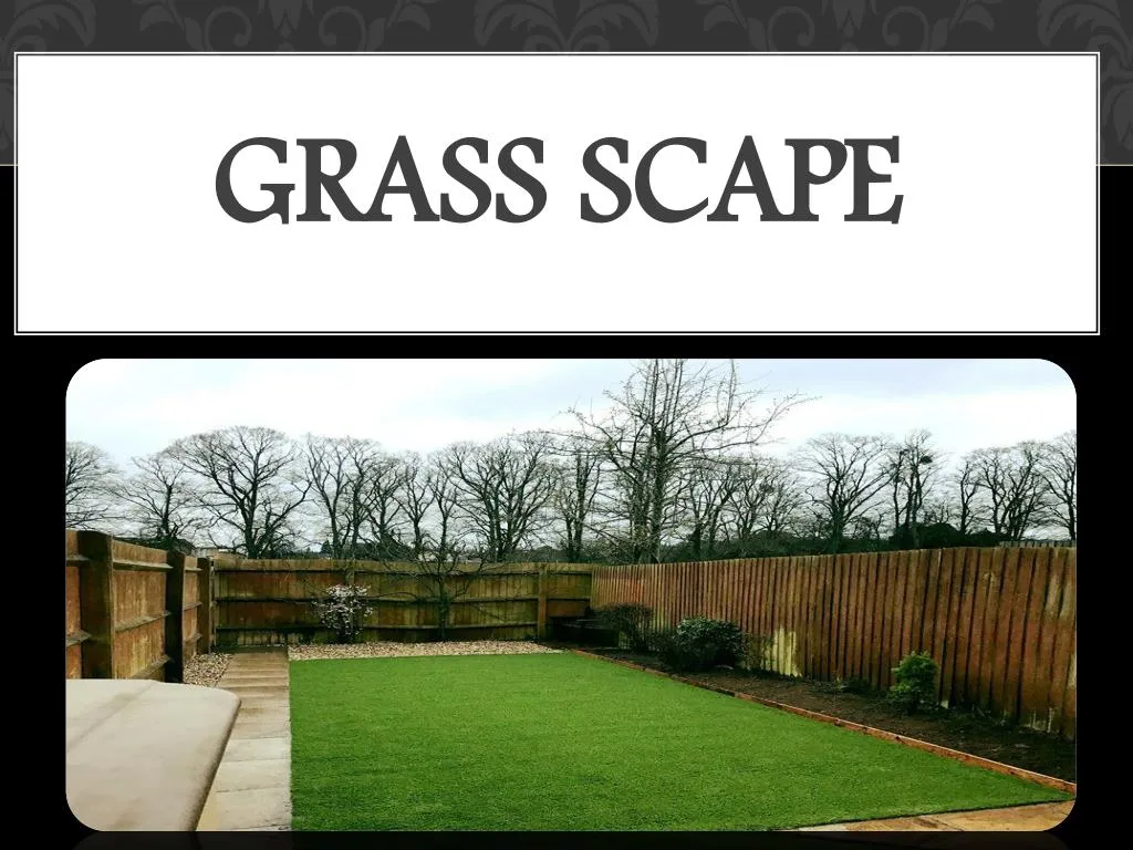 grass scape