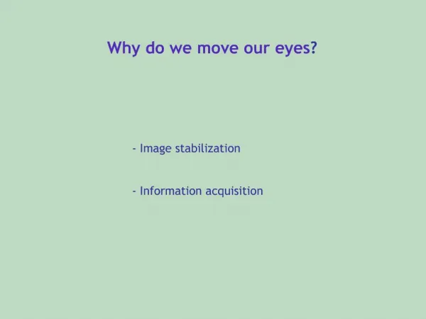 Why do we move our eyes