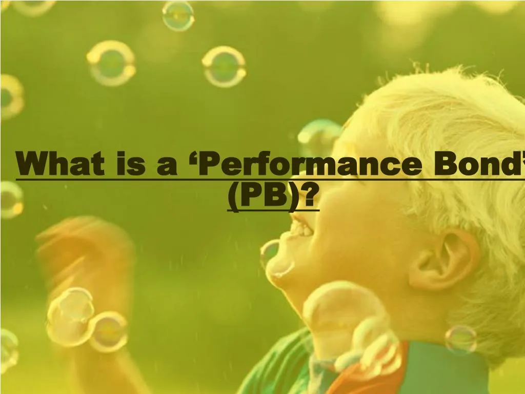 what is a performance bond pb