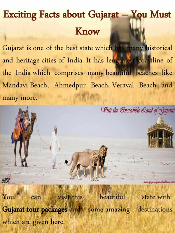 Exciting Facts about Gujarat – You Must Know