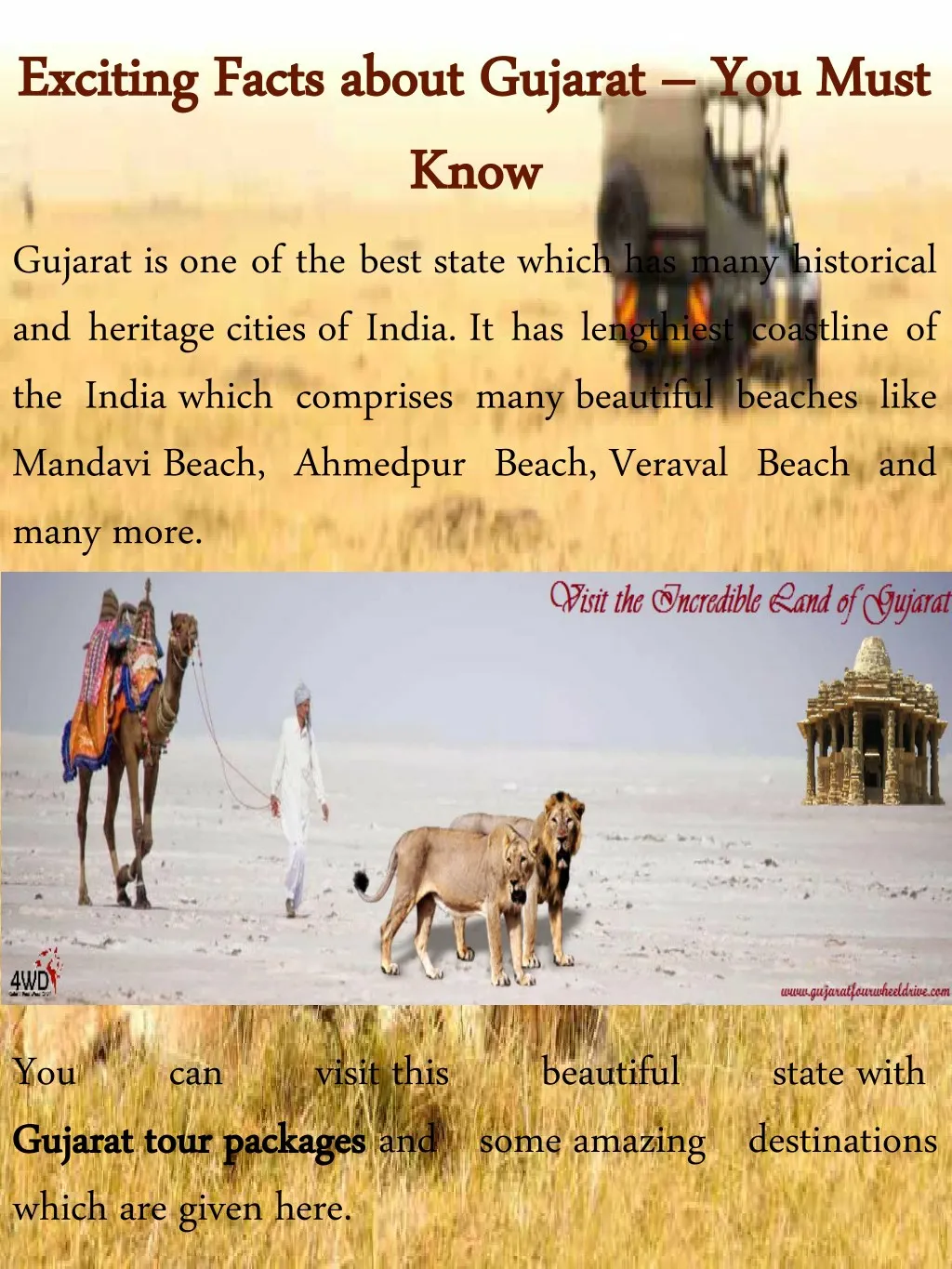 exciting facts about gujarat you must exciting