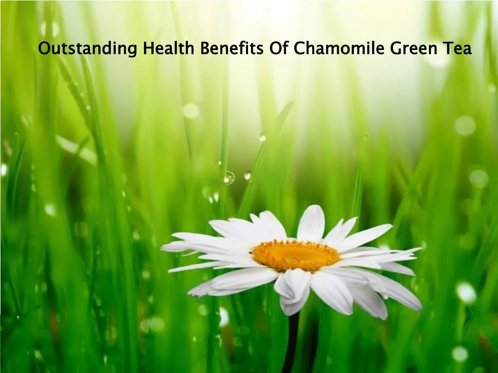 outstanding health benefits of chamomile green tea