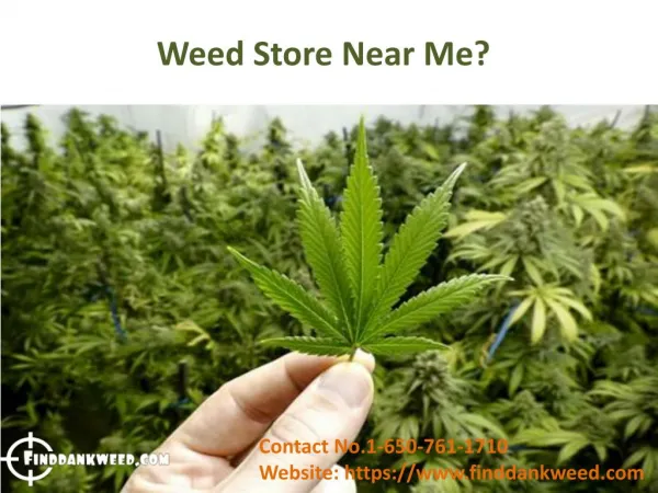 Weed store new me? We answer to this question.