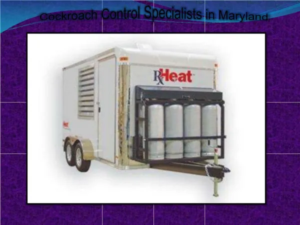 Cockroach Control Specialists in Maryland