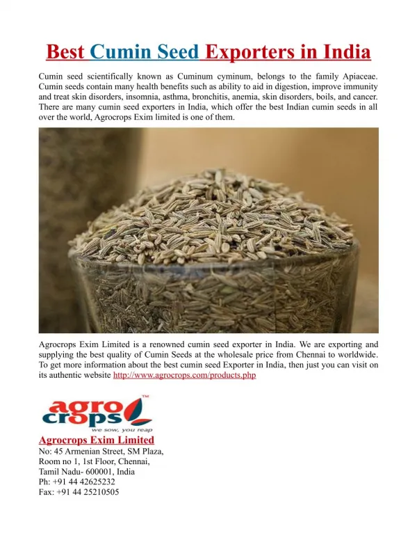 Best Cumin Seed Exporters in India